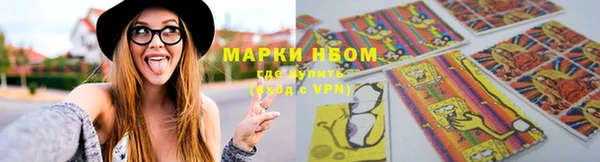 сатива Пролетарск