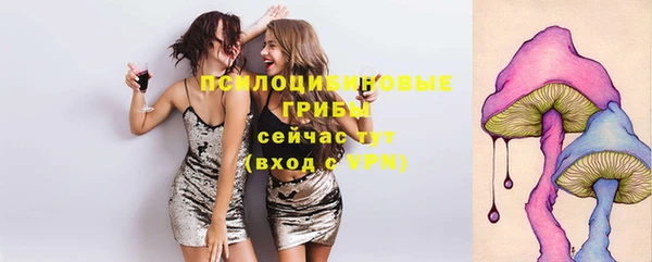PSILOCYBIN Алексеевка