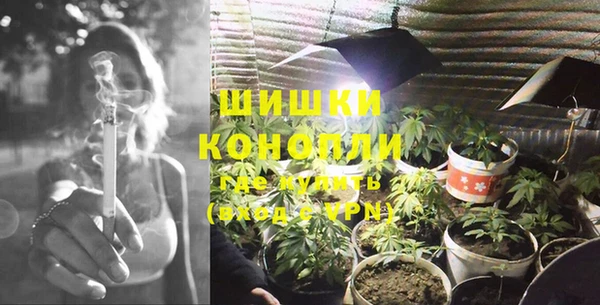 PSILOCYBIN Алексеевка