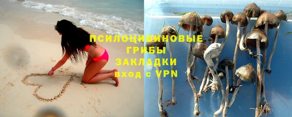 PSILOCYBIN Алексеевка
